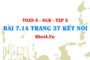 Bài 7.14 trang 37 Toán 6 Tập 2 Kết nối tri thức